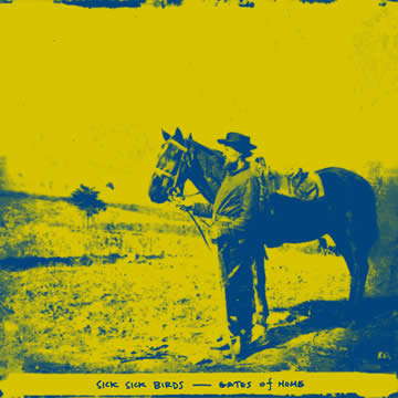 Sick Sick Birds - Gates of Home